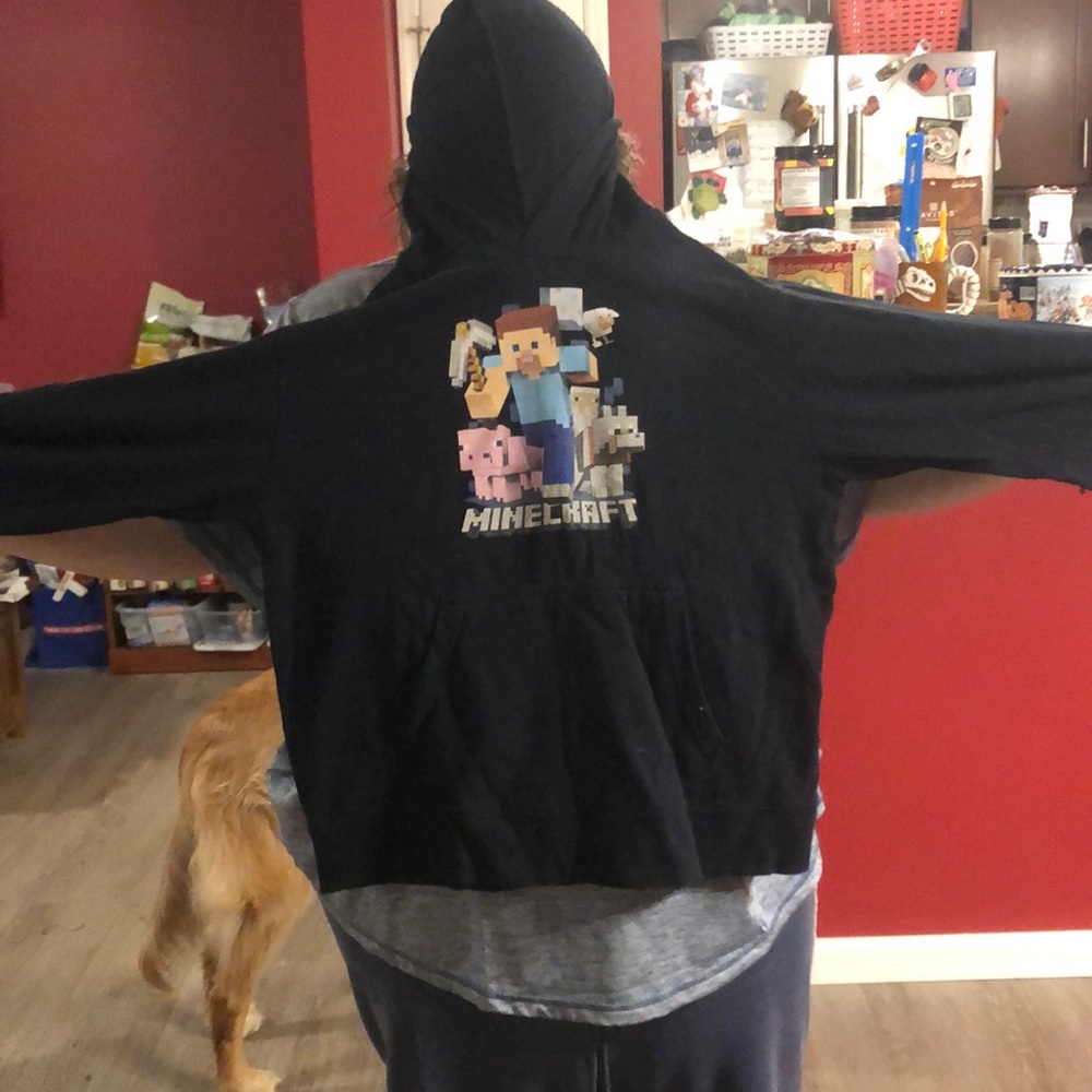 Mine craft hoody